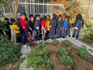 WhatsApp-Image-2026-02-04-at-09.24.35-1