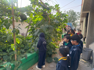 WhatsApp-Image-2026-02-04-at-09.24.36