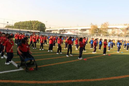 IMG 0778 (1)
