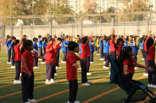 IMG 0783 (1)