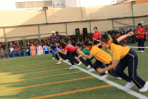 IMG 0797 (1)