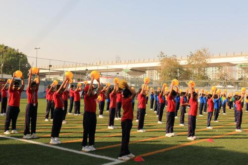 IMG 0829 (1)