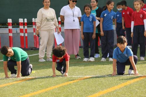 IMG 0839 (1)