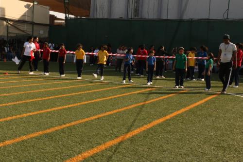 IMG 0842 (1)
