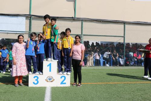 IMG 0871 (1)