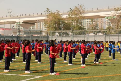 IMG 0877 (1)